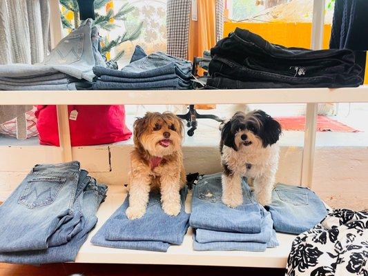 lala A Kerry Cassill Store