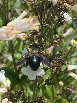 Highlands Nature Center