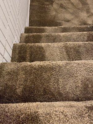 Sacramento Rug & Sofa Cleaning