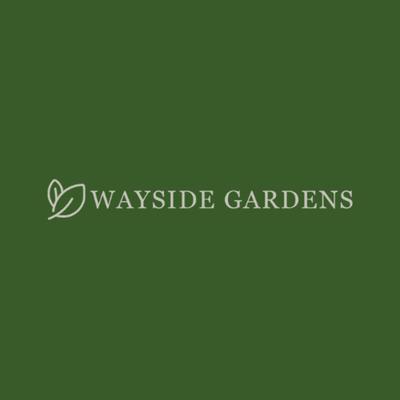 Wayside Gardens