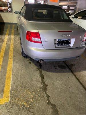 LAZ Parking Harrison