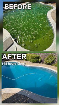 Splendid Pool Service