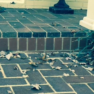 Outdoor Conceptions Group