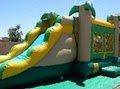 Bouncer and Slide combo with a palm tree theme