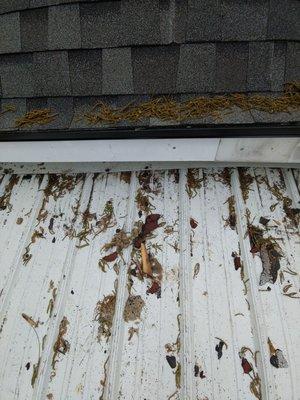 This is some of the mess they left behind. Awful company