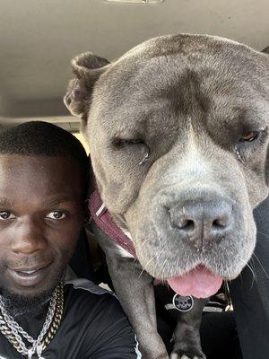 Tungsten Steel Kennels