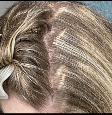 Terrible highlights by Sean at Gabba Gabba Salon in Newport News, VA