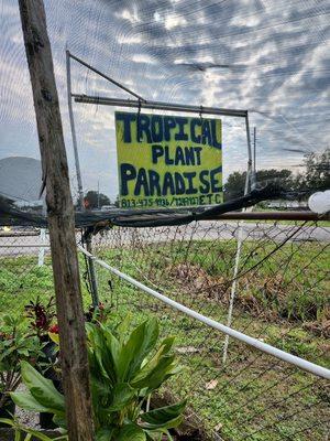 Tropical Plant Paradise