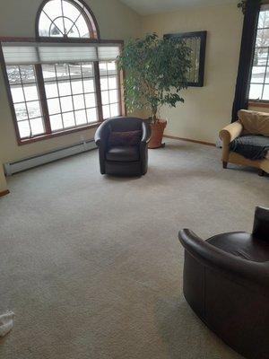 Hayward Carpet Cleaners