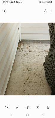 Grass Gremlins Lawn & Landscape