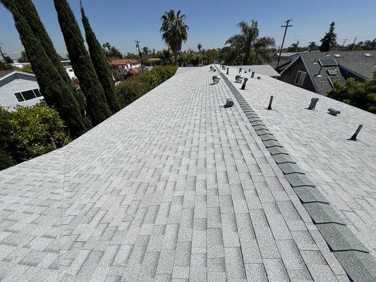 Top dog Roofing