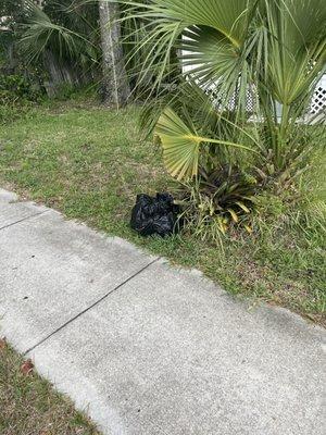 Trash that waste management threw onto my yard while driving by and refused to come pick it up