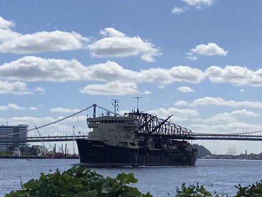 Elephant Wisdom Notary