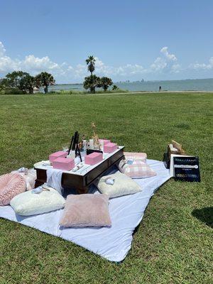 Paint And Picnic