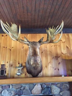 Presque Isle Yacht Club