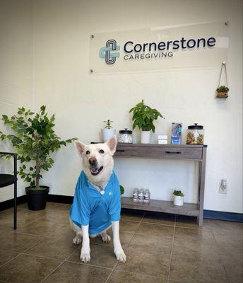 Cornerstone Caregiving