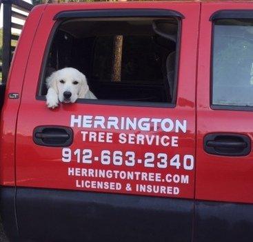 Matt Herrington Tree Service