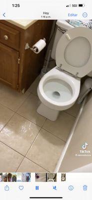 Venturas Cleaning Services