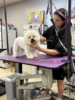 Canine Clipper