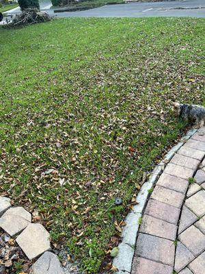 Eastwood Tuff Turf of Central Florida