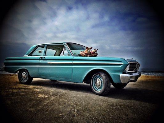 Herman the 65 falcon and my 2 fur kids at the Newport El car show held every year in October.