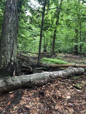 National Park Service