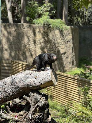 Los Angeles Zoo and Botanical Garden