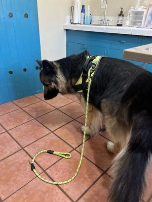 Broadway Animal Hospital