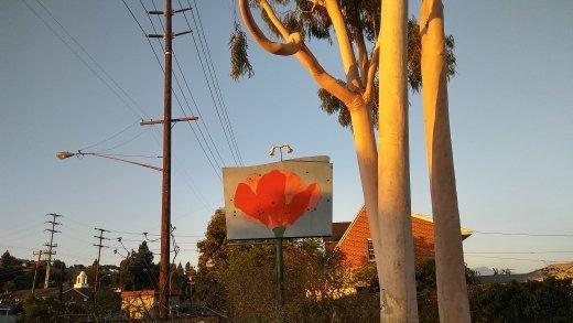 The Garden Cooperative Nursery School