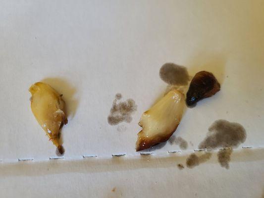 Lauretta's Italian Bake Shop & Cafe