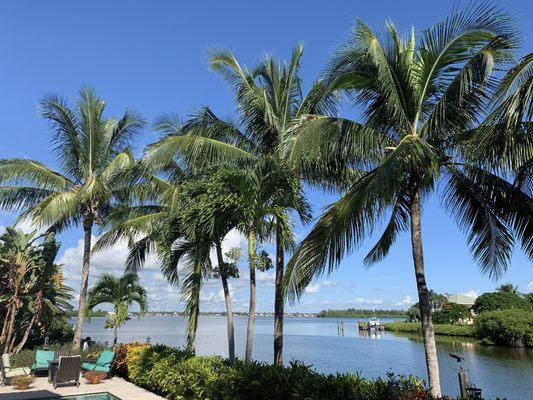 Jeffrey's In and Out Tree Service