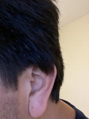 True Gents Barbershop