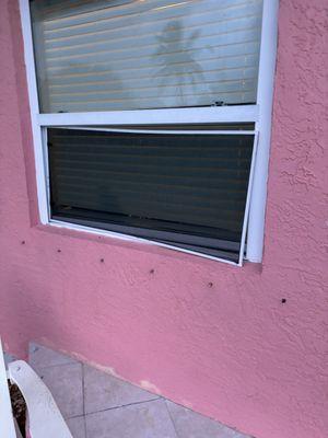 Coral Beach Cottages