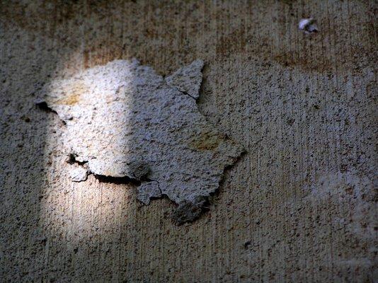 Northern Star Contractor Services