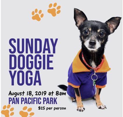 Instantaneous Pet Service