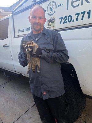 EcoTek Pest and Wildlife