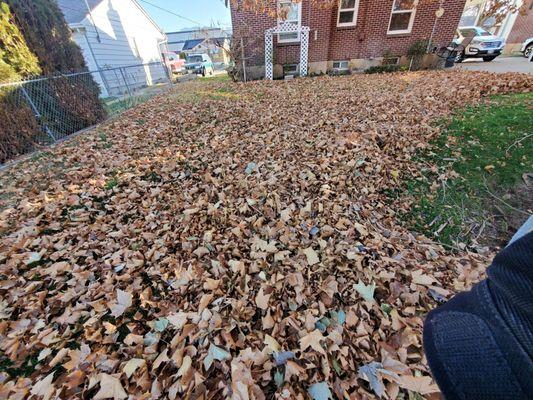 R & J's Upkeep Service LLC