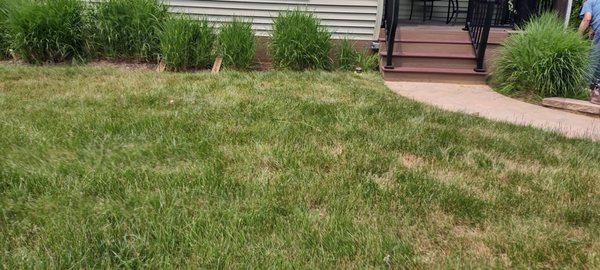 Styrofoam foundation panels Earth tone