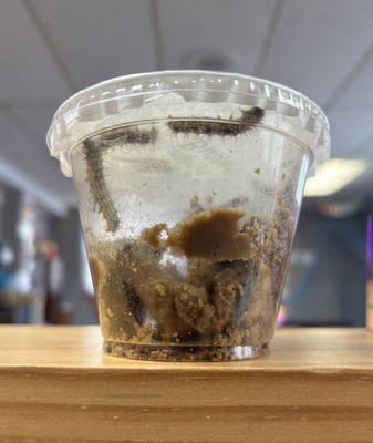 2025 butterflies have arrived. We can't wait to watch them grow and hatch from their chrysalis, and get to release them together.