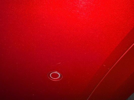 Genesis of Scottsdale Sales