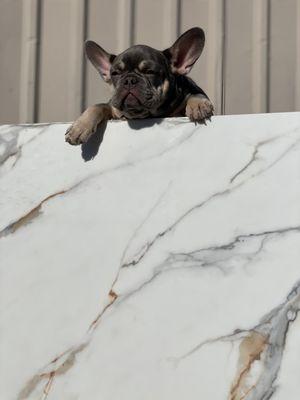 Quality Marble & Granite