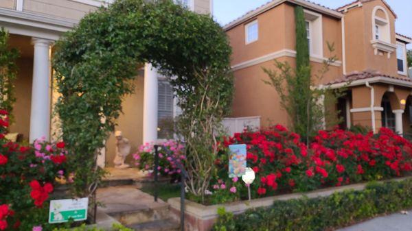 Evolved Outdoor with Amy Belt