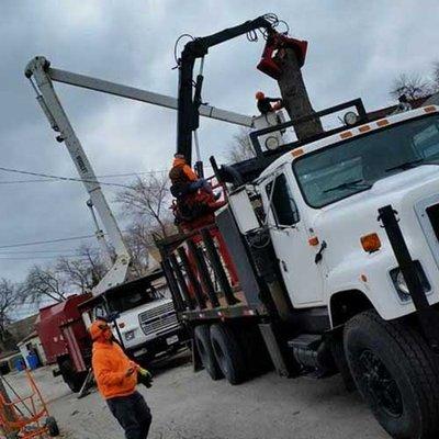 Phenomenal Tree Service