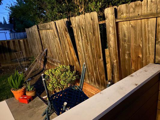 The view of the failing fence on my side of the property.