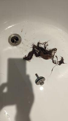 Four Seasons House Cleaning