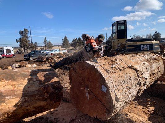 Sisters Forest Products