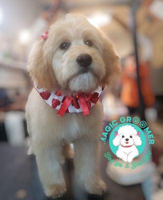 Love me. Groomed by Gabby