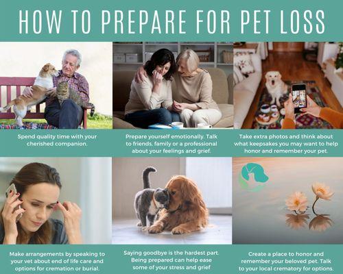 Serene Waters Pet Cremation