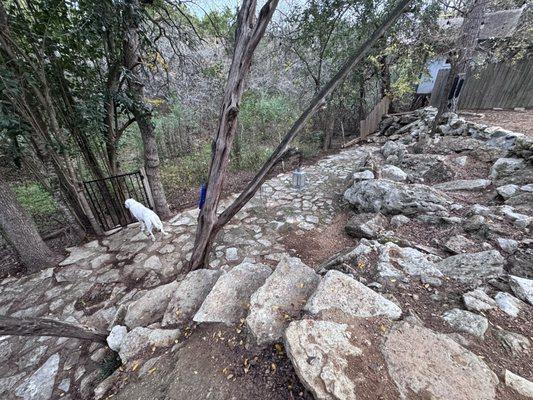 Plant N Things Lawn Care Services