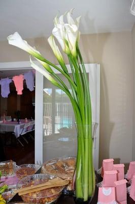 Patalina Event Florists & Planning